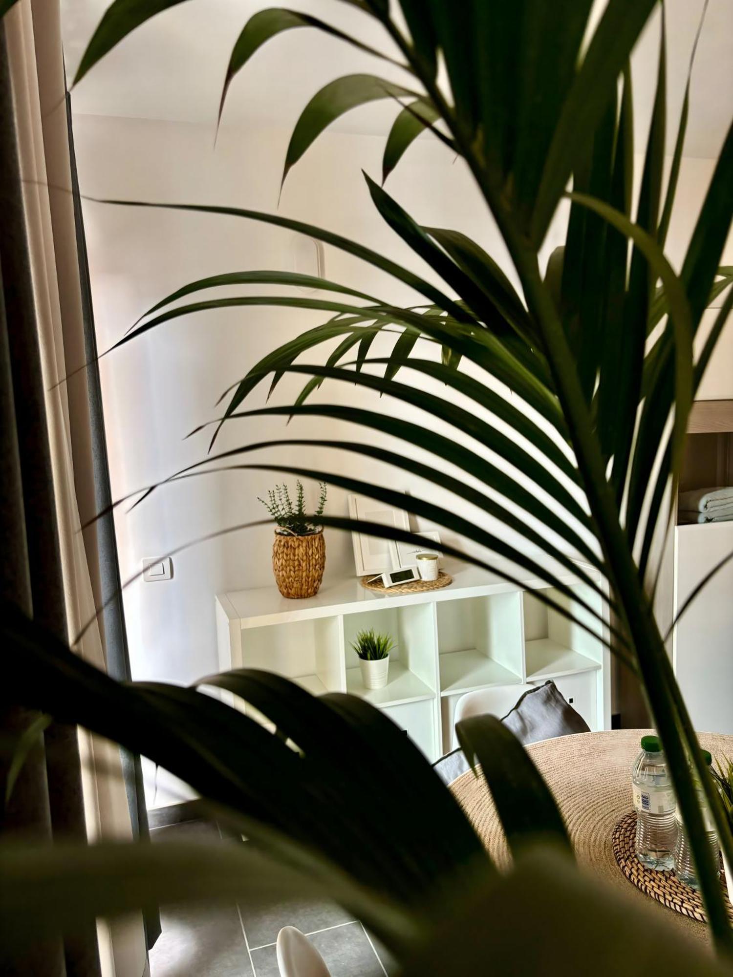 Marina Suites Tenerife Puerto de la Cruz Kültér fotó