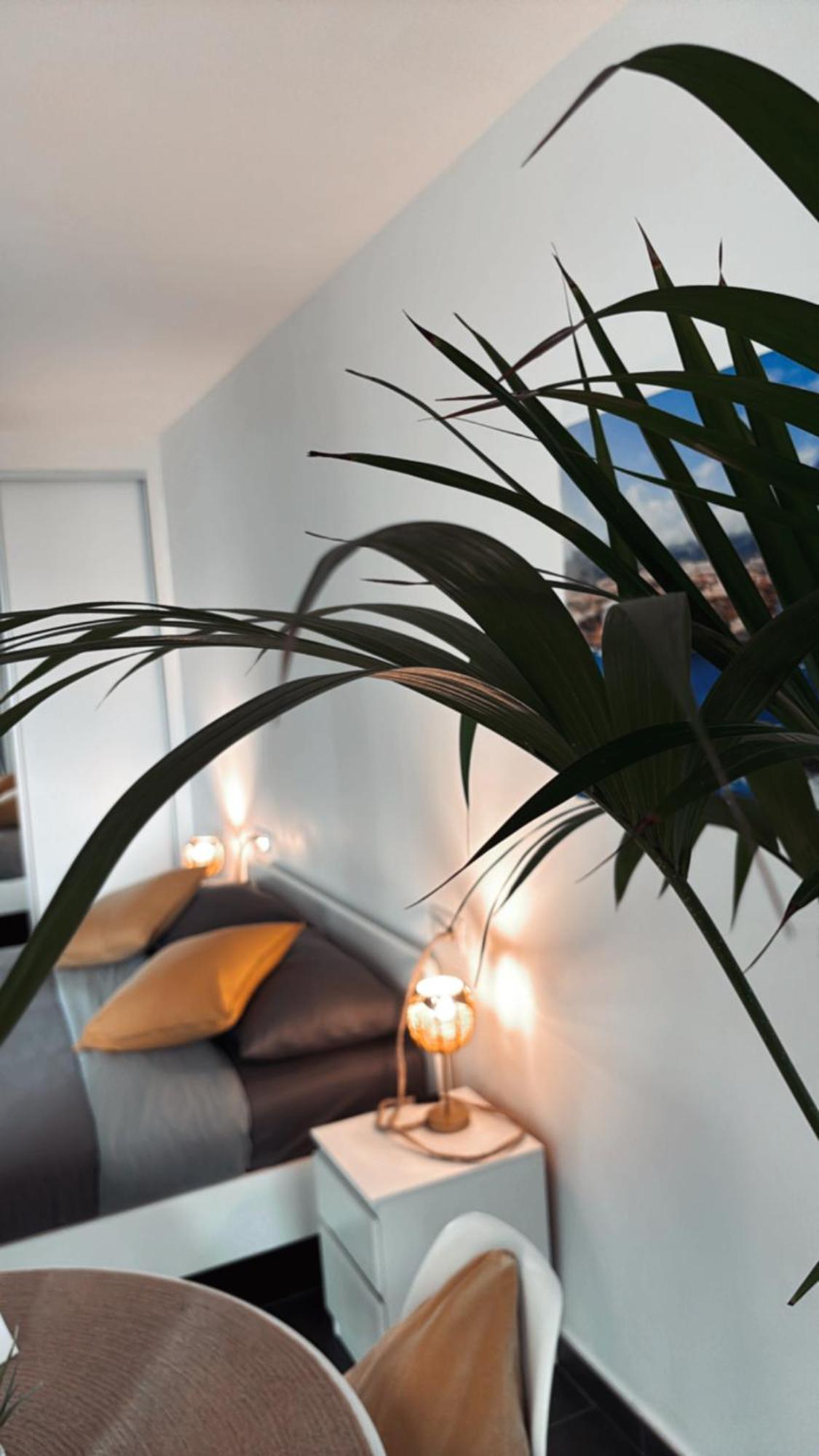 Marina Suites Tenerife Puerto de la Cruz Kültér fotó